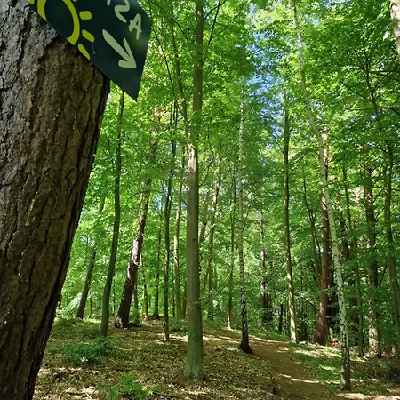 Mario Lesny Klif 2 Debina (Ustka)