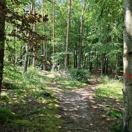 アパート Mario Lesny Klif 2 Debina (Ustka)