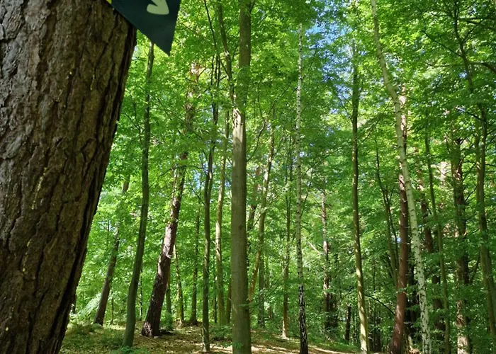 Mario Lesny Klif 2 Debina (Ustka)